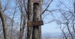 2011年４月１０日　堂ケ沢山で低山ハイキング