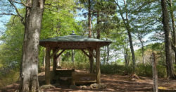 2016年5月8日　八塩山ぐるっと散歩