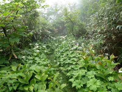 R9305000.jpg