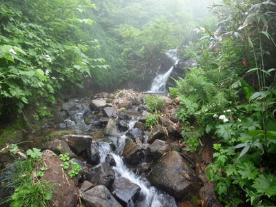R9304983.jpg