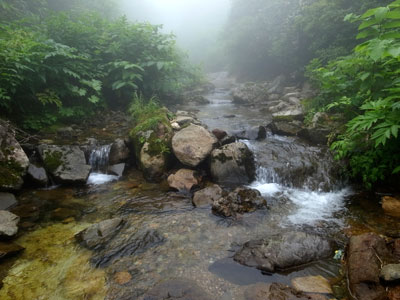 R9304971.jpg