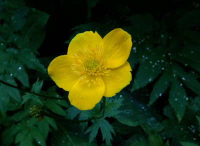 R9304972.jpg