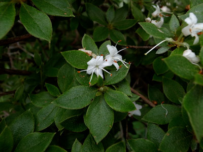 R9304948.jpg