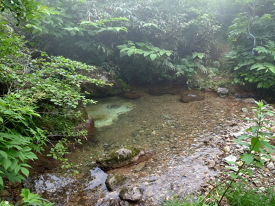 R9304957.jpg