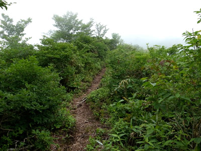 R9304951.jpg