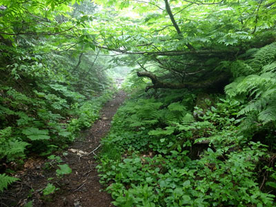 R9304922.jpg