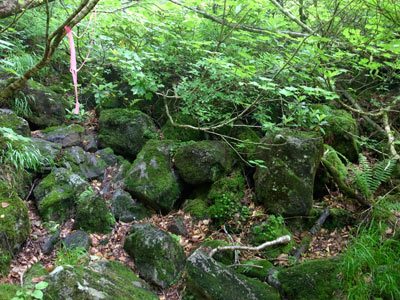R9304913.jpg