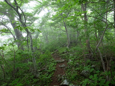 R9304907.jpg