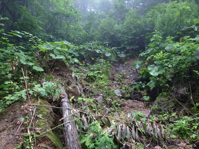 R9304888.jpg