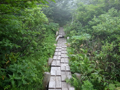 R9305042.jpg