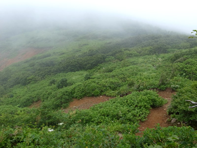 R9305036.jpg