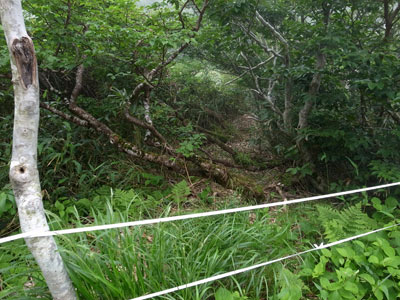 R9305025.jpg