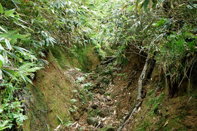 DSC01116.jpg
