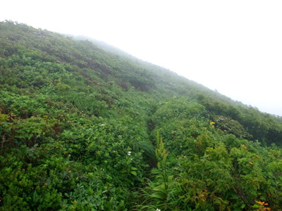 R9305109.jpg