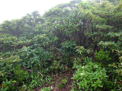 R9305104.jpg