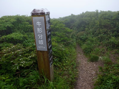 R9305103.jpg