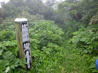 R9305092.jpg