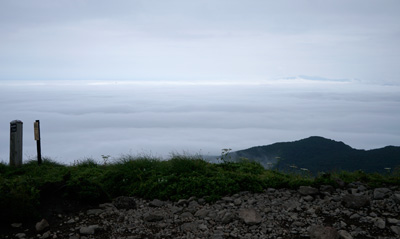DSC01173.jpg