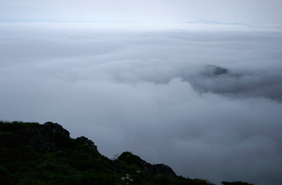 DSC01169.jpg