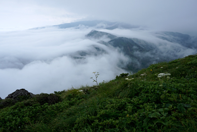 DSC01165.jpg