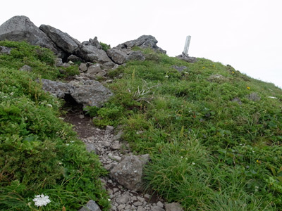 R9305075.jpg