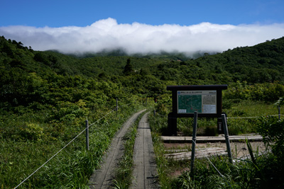 DSC01480.jpg