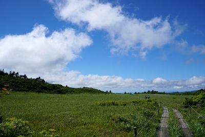 DSC01479.jpg
