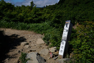 DSC01474.jpg