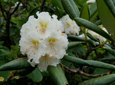 DSC01429.jpg
