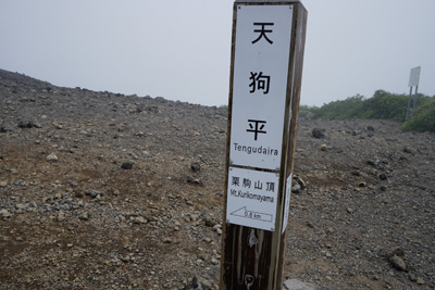 DSC01427.jpg