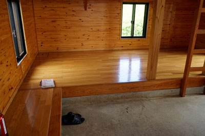 DSC01331.jpg