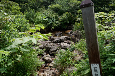 DSC01318.jpg