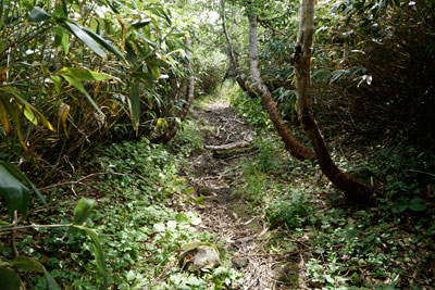 DSC01315.jpg