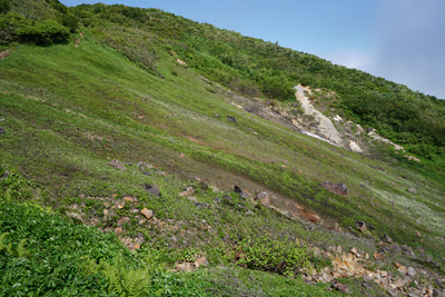 DSC01311.jpg