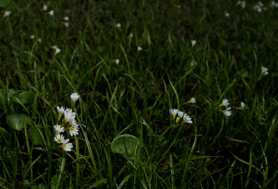 DSC01305.jpg