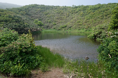 DSC01291.jpg