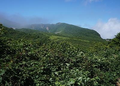 DSC01284.jpg