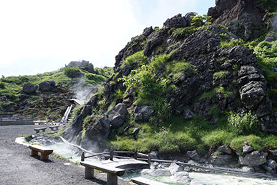 DSC01235.jpg