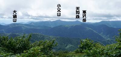 DSC01867.jpg