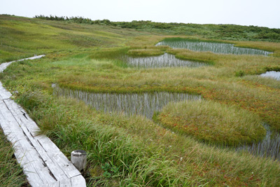 DSC01845.jpg
