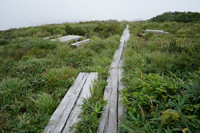 DSC01829.jpg