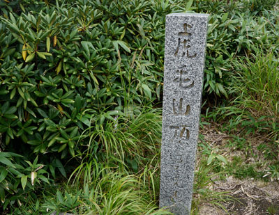 DSC01827.jpg