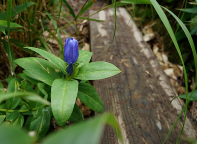 DSC01822.jpg