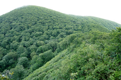 DSC01813.jpg