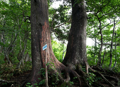 DSC01788.jpg
