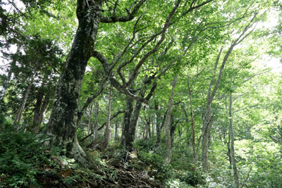 DSC01785.jpg
