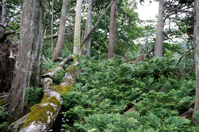 DSC01776.jpg