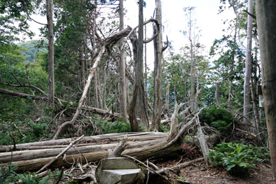 DSC01882.jpg