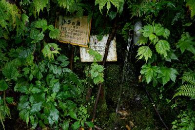 DSC01744.jpg