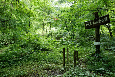DSC01736.jpg